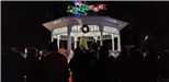 Tree Lighting 2019