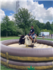 Mechanical Bull Rids