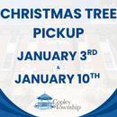 Decorative image of Town Hall with text reading 