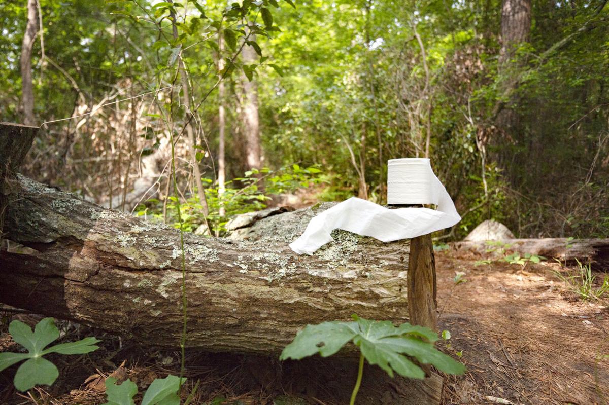 toilet paper trees