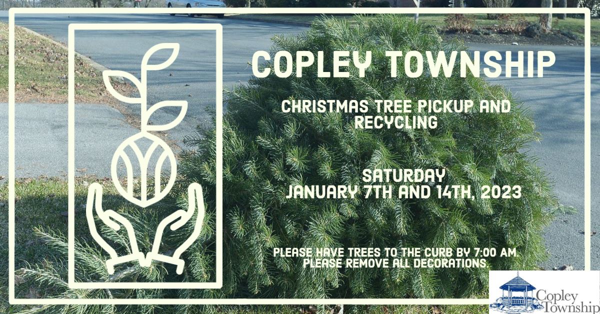 Live Christmas Tree Pickup 2023