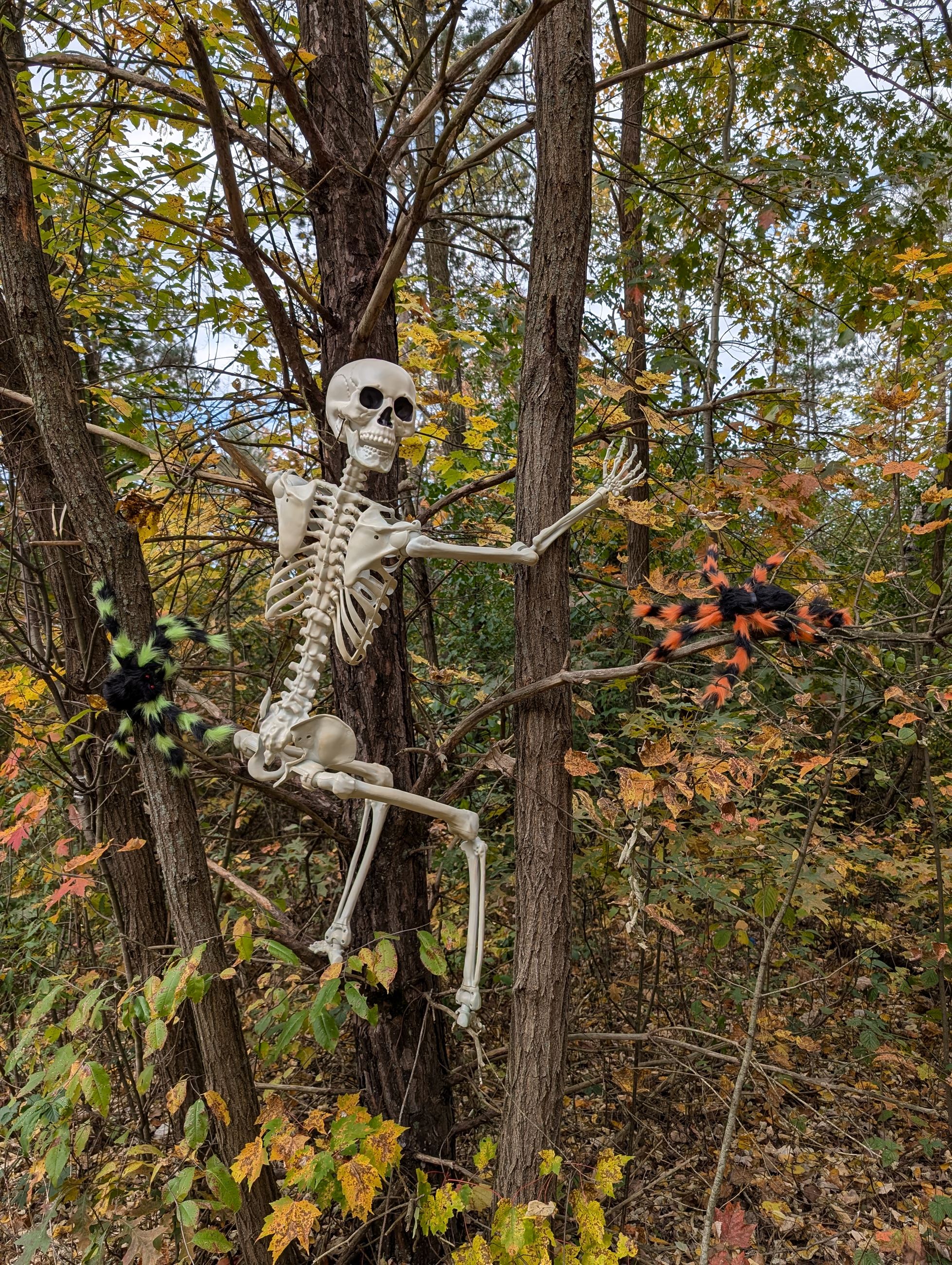 skelton on tree decor